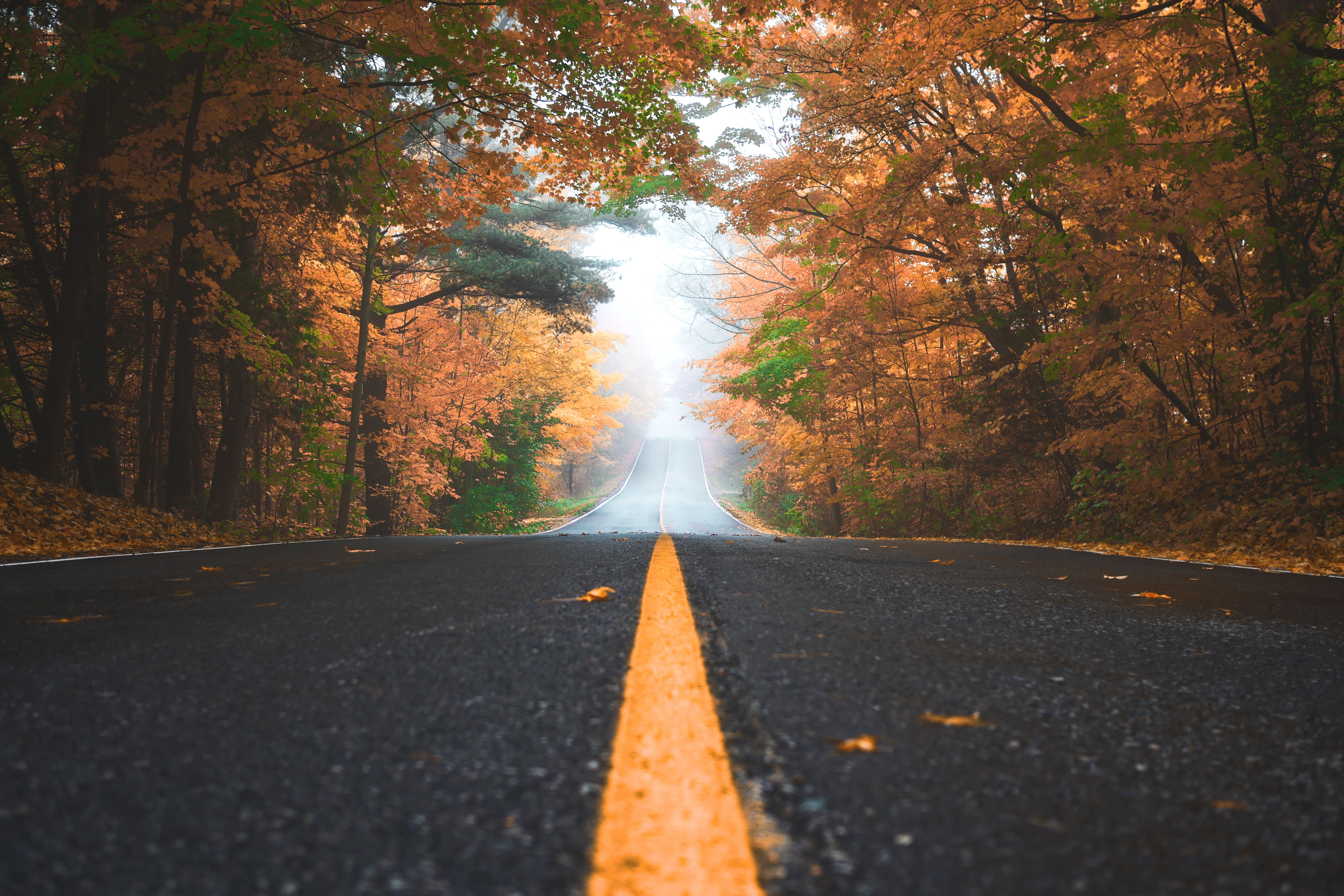 AutumnRoad